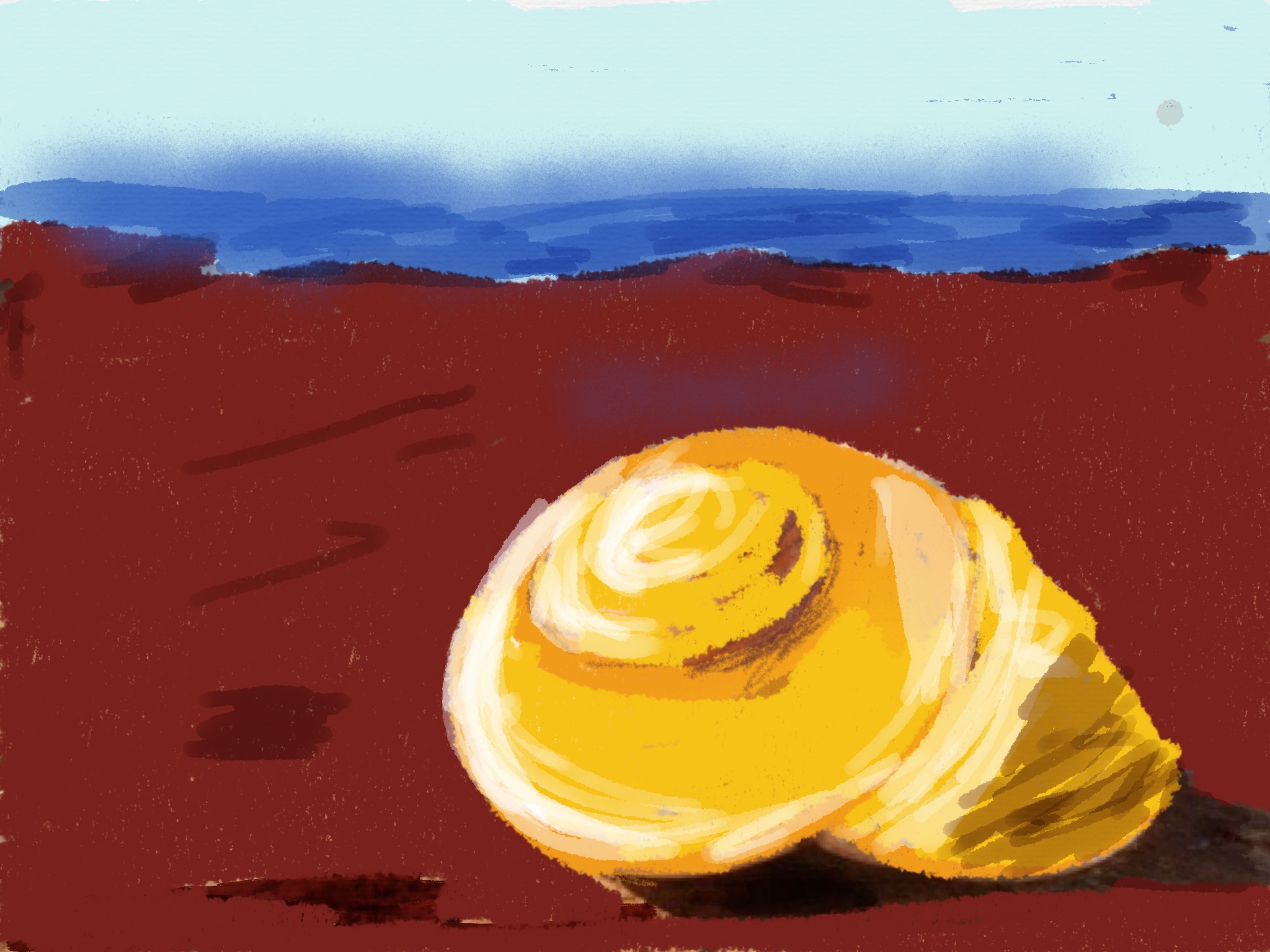 shell